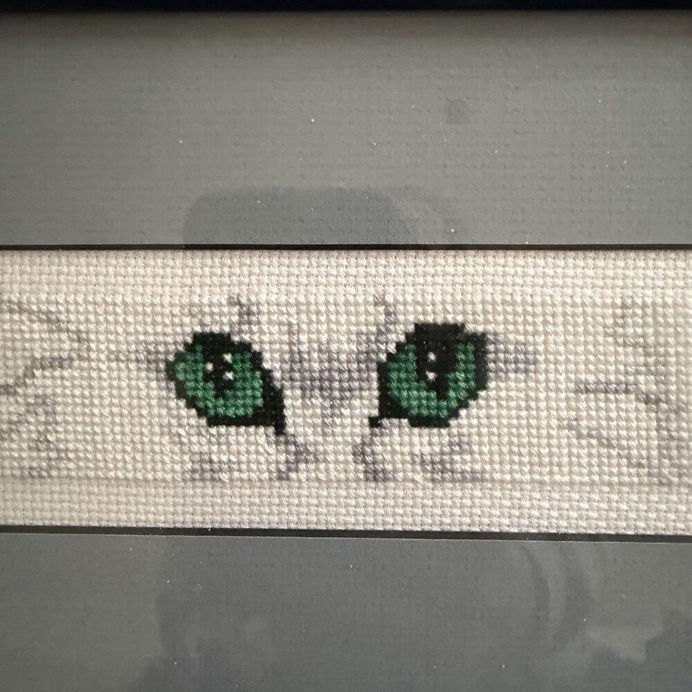 Framed Cross-Stitch Cat Eyes Art 28.5 inx6 in Veterinary Cat Lover